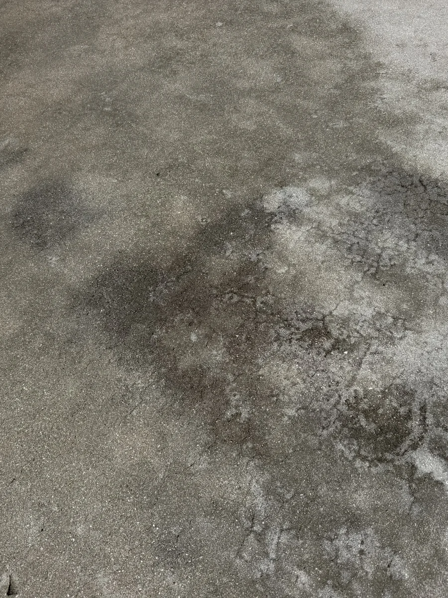 Driveway concrete with dark buildup before pressure washing