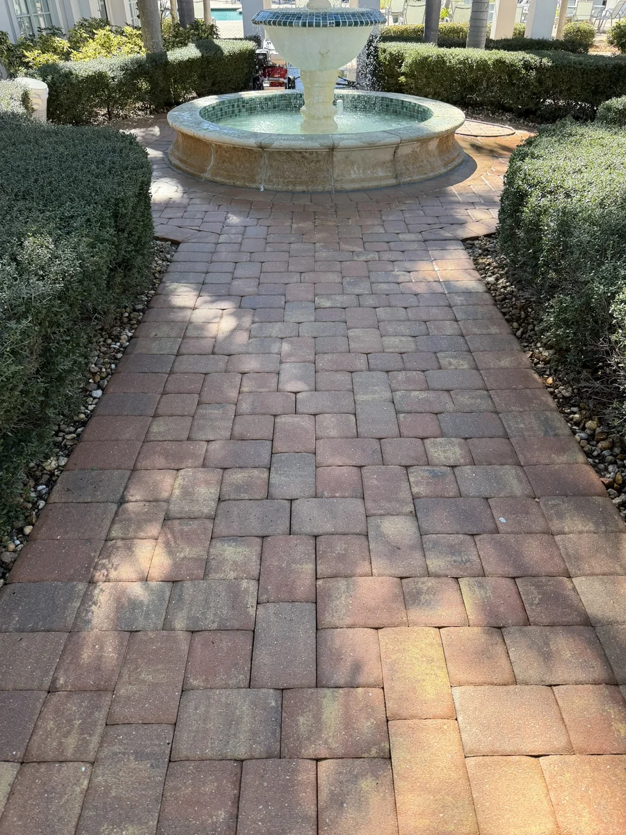 Paver walkway cleaned and brightened after pressure washing