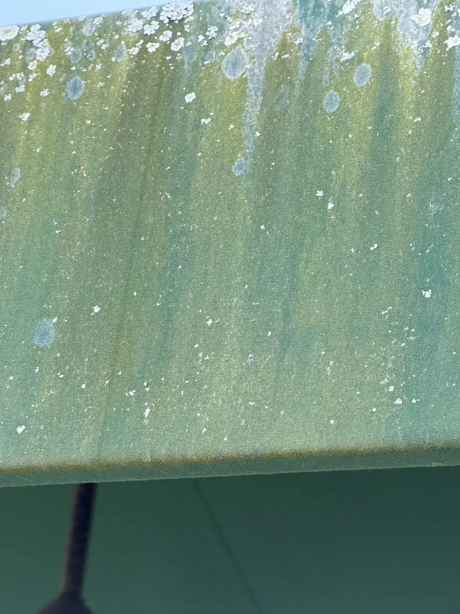 Pool screen enclosure trim with algae before soft washing